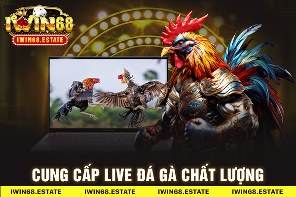 Cung cấp live đá gà chất lượng