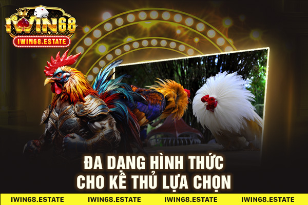 Đa dạng hình thức cho kê thủ lựa chọn