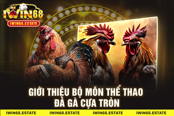 Giới thiệu bộ môn thể thao đá gà cựa tròn