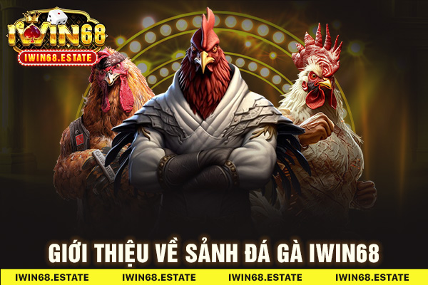 Giới thiệu về sảnh đá gà IWIN68