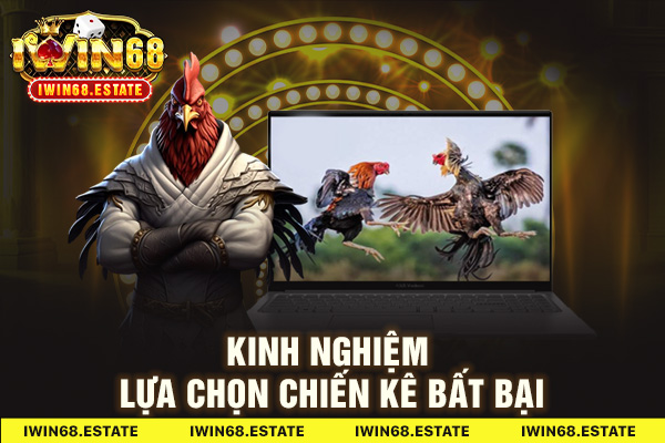 Kinh nghiệm lựa chọn chiến kê bất bại