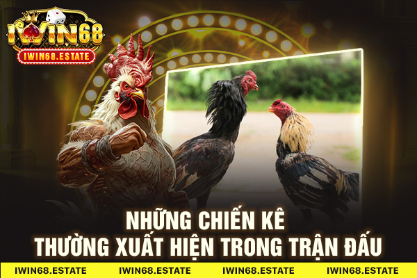 Những chiến kê thường xuất hiện trong trận đấu